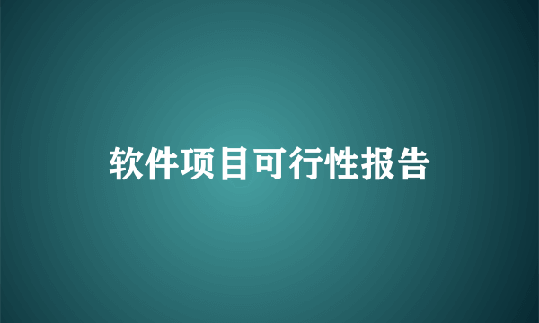 软件项目可行性报告