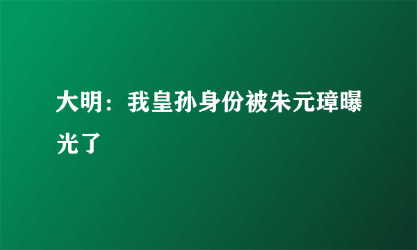 大明：我皇孙身份被朱元璋曝光了