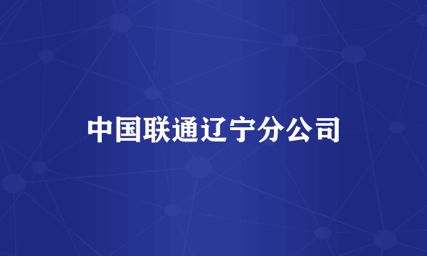 中国联通辽宁分公司