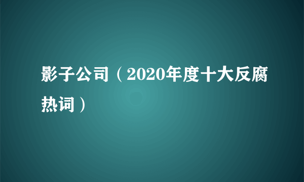 影子公司（2020年度十大反腐热词）