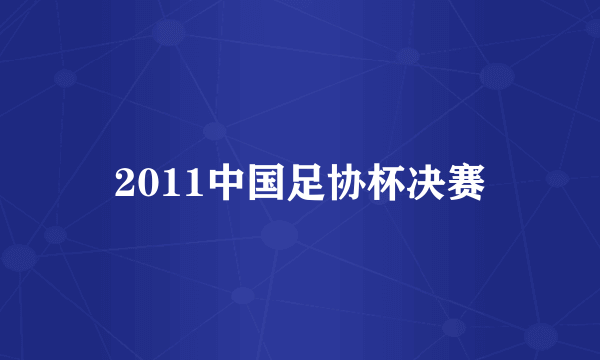 2011中国足协杯决赛