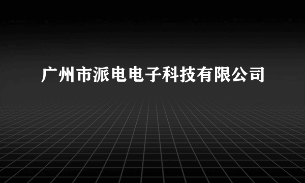 广州市派电电子科技有限公司