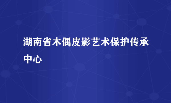 湖南省木偶皮影艺术保护传承中心