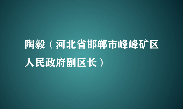 陶毅（河北省邯郸市峰峰矿区人民政府副区长）