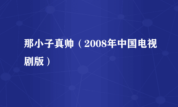 那小子真帅（2008年中国电视剧版）