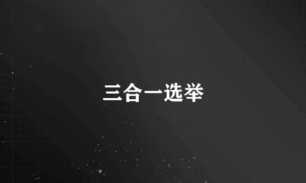 三合一选举