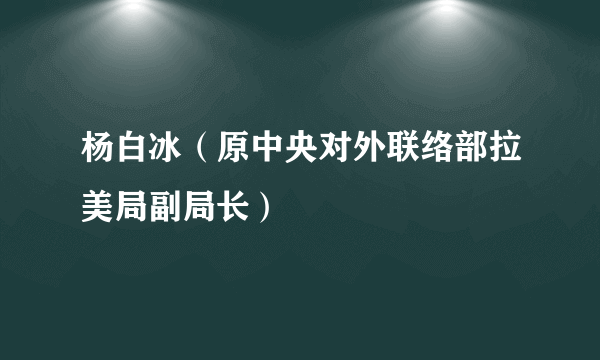 杨白冰（原中央对外联络部拉美局副局长）