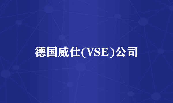 德国威仕(VSE)公司