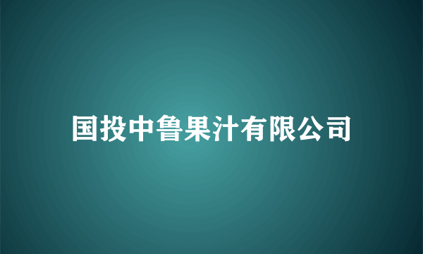 国投中鲁果汁有限公司