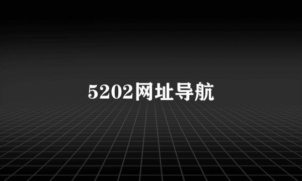 5202网址导航