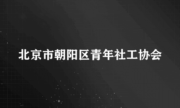 北京市朝阳区青年社工协会