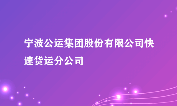 宁波公运集团股份有限公司快速货运分公司