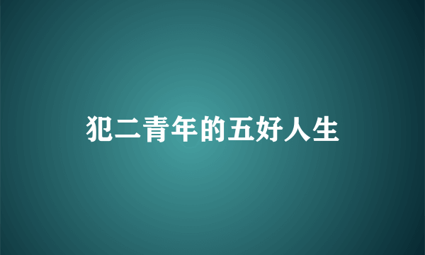 犯二青年的五好人生