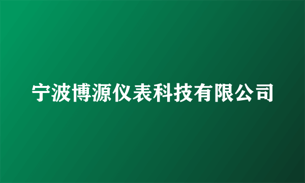 宁波博源仪表科技有限公司