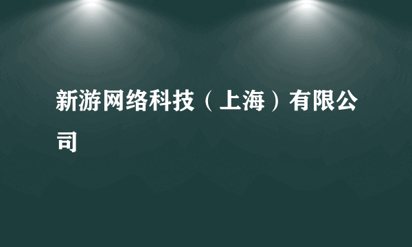 新游网络科技（上海）有限公司