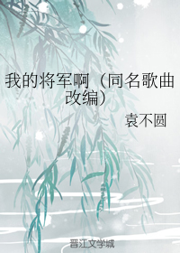 我的将军啊（同名歌曲改编）