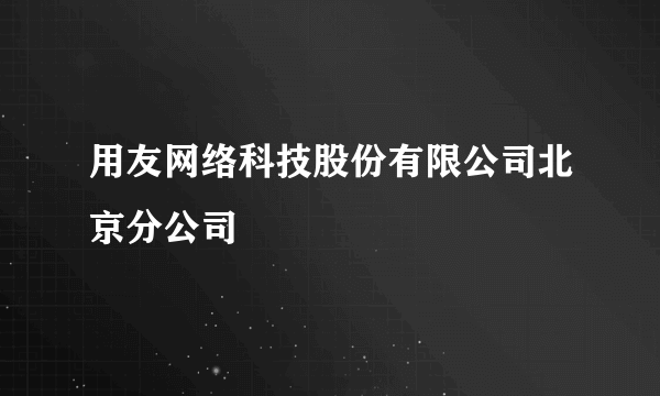 用友网络科技股份有限公司北京分公司