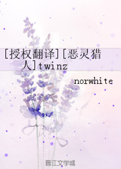 [授权翻译][恶灵猎人]twinz