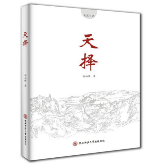 天择（2020年陕西师范大学出版社出版的图书）