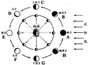 朔望月（月球绕地球公转相对于太阳的平均周期）