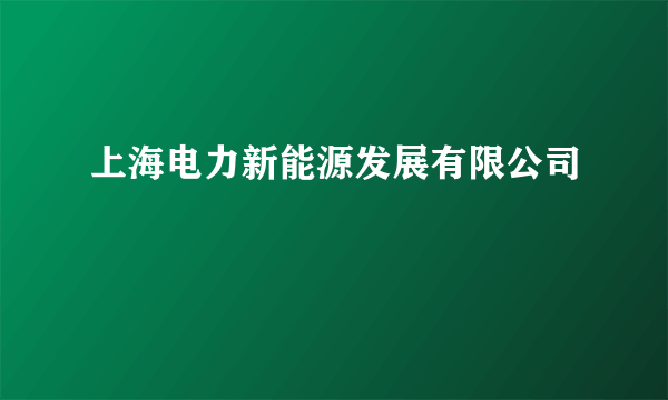 上海电力新能源发展有限公司