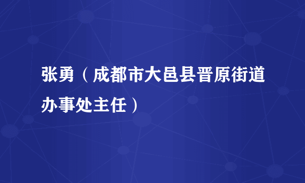 张勇（成都市大邑县晋原街道办事处主任）