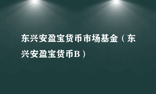 东兴安盈宝货币市场基金（东兴安盈宝货币B）