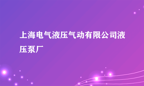 上海电气液压气动有限公司液压泵厂