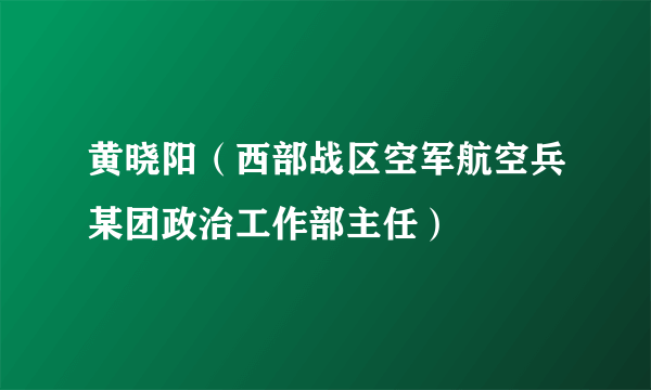 黄晓阳（西部战区空军航空兵某团政治工作部主任）