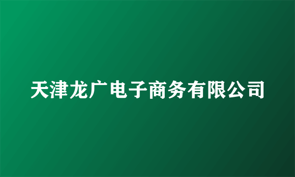 天津龙广电子商务有限公司