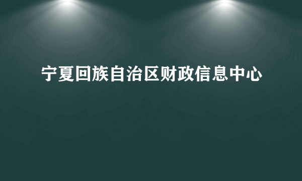 宁夏回族自治区财政信息中心