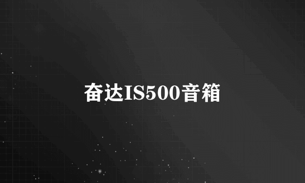 奋达IS500音箱