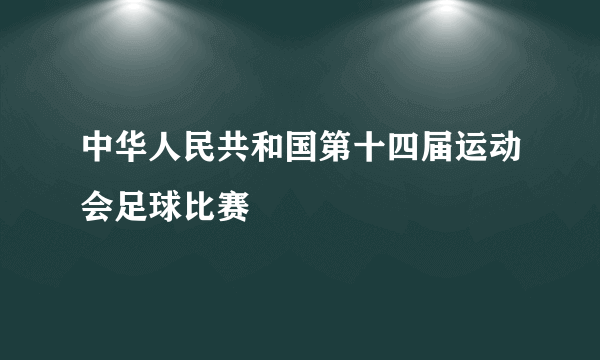 中华人民共和国第十四届运动会足球比赛