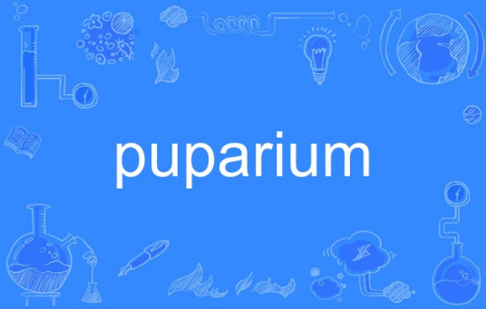 puparium