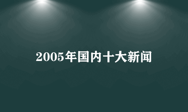 2005年国内十大新闻