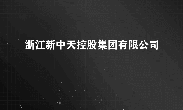 浙江新中天控股集团有限公司