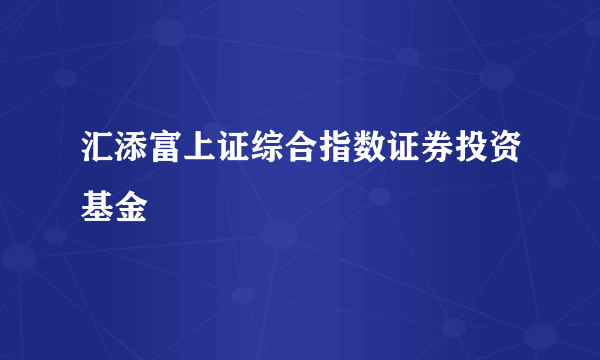 汇添富上证综合指数证券投资基金