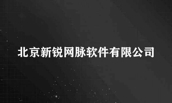 北京新锐网脉软件有限公司