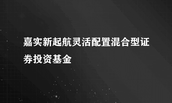 嘉实新起航灵活配置混合型证券投资基金