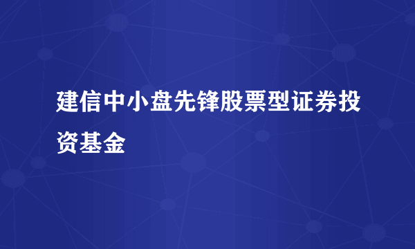 建信中小盘先锋股票型证券投资基金