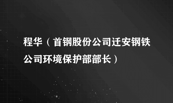 程华（首钢股份公司迁安钢铁公司环境保护部部长）