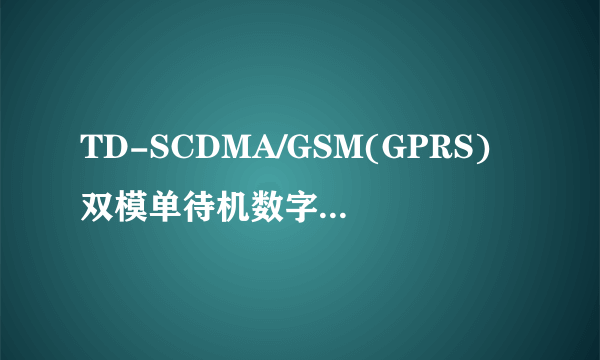 TD-SCDMA/GSM(GPRS)双模单待机数字移动通信终端技术要求