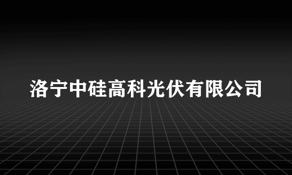 洛宁中硅高科光伏有限公司