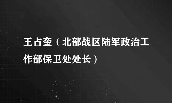 王占奎（北部战区陆军政治工作部保卫处处长）