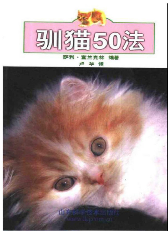 驯猫50法