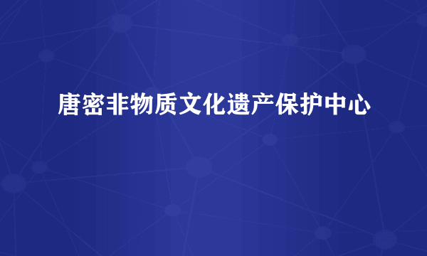 唐密非物质文化遗产保护中心