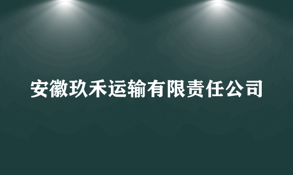 安徽玖禾运输有限责任公司