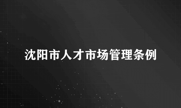 沈阳市人才市场管理条例