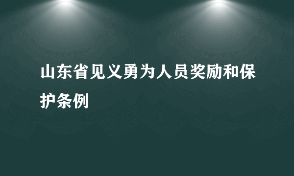 山东省见义勇为人员奖励和保护条例