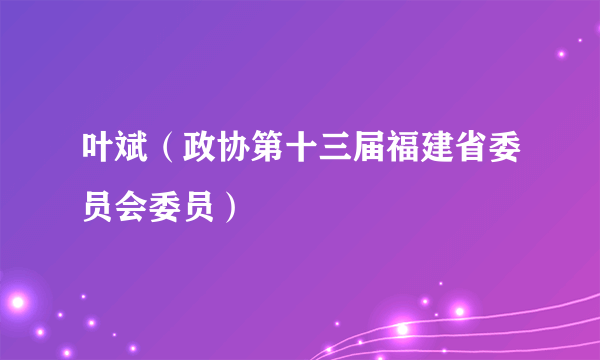 叶斌（政协第十三届福建省委员会委员）